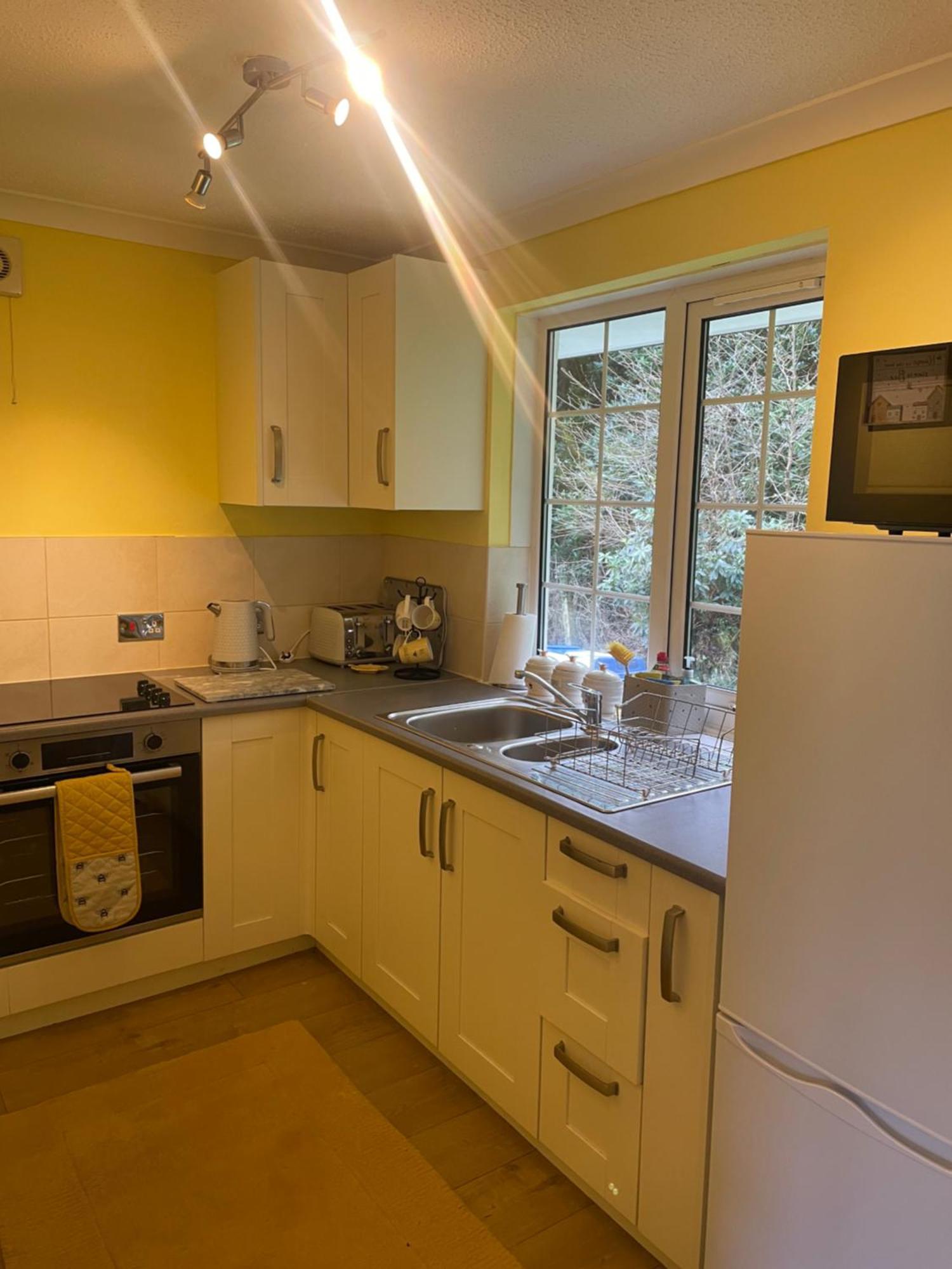 Bumblebee Lodge Saint Cleer Extérieur photo